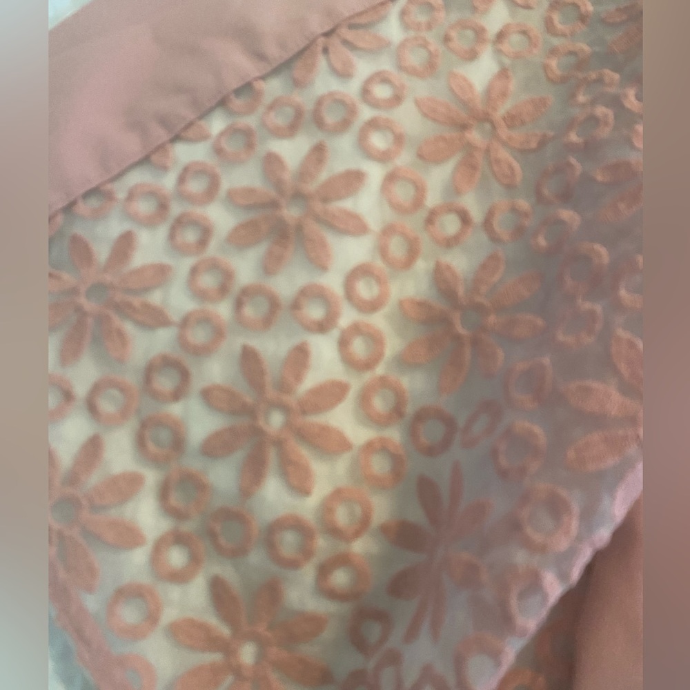 Anne Klein Embroidered Overlay
Shift Dress Women’s 16
Petal Pink - Picture 9 of 14